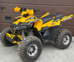 Квадроцикл FORTE AFF125 PRO