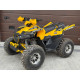 Квадроцикл FORTE AFF125 PRO