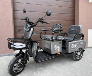 електротрицикл Forte CARGO-WN1072G