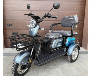 електротрайк Forte FAMILY-WN800
