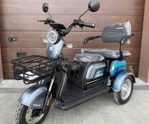електротрайк Forte FAMILY-WN800