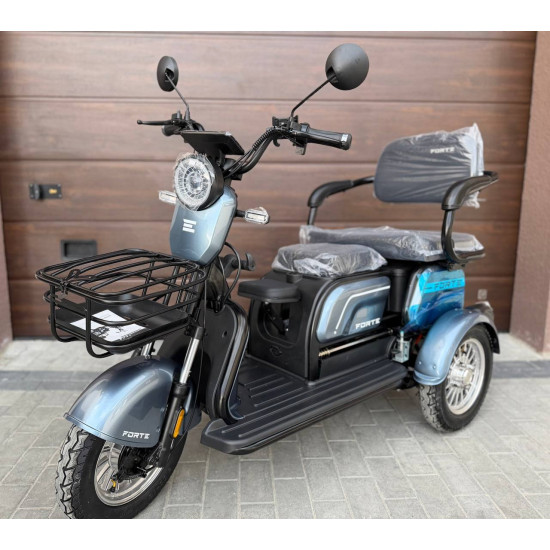 електротрайк Forte FAMILY-WN800