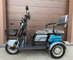 електротрайк Forte FAMILY-WN800