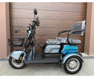 електротрайк Forte FAMILY-WN800