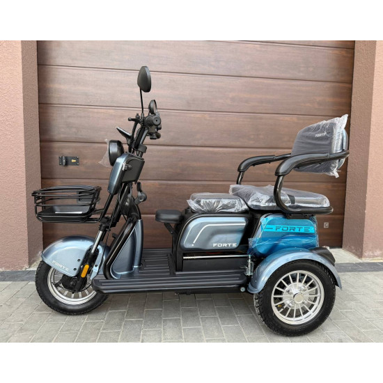 електротрайк Forte FAMILY-WN800