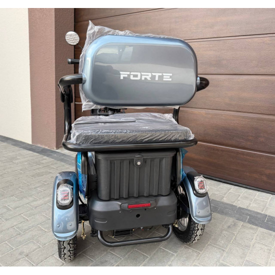 електротрайк Forte FAMILY-WN800