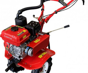 Forte 80mc New