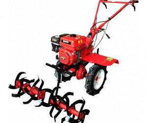 Forte 1050G